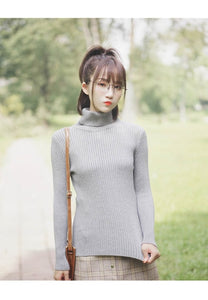 GUMPRUN Winter Women Knitted Turtleneck Sweater 2019 Fall Casual Slim Sweaters Pullover Womens Long Sleeve Elasticity Sweater