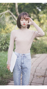 GUMPRUN Winter Women Knitted Turtleneck Sweater 2019 Fall Casual Slim Sweaters Pullover Womens Long Sleeve Elasticity Sweater